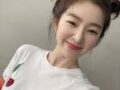 아이린은 토끼다 아니다 말티즈다